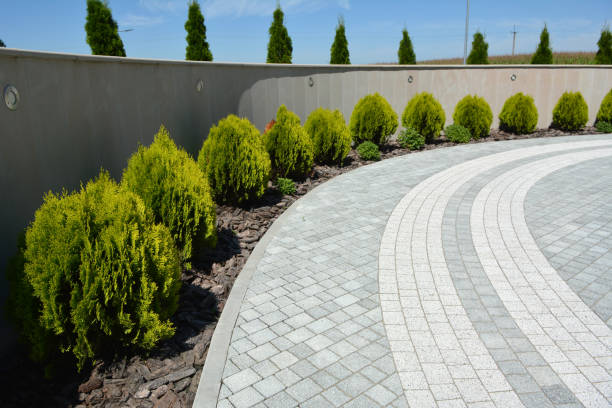 Reasons to Select Us for Your Driveway Paving Requirements in Columbiana, OH